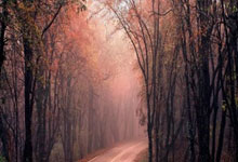 建设银行科技金融服务