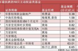 2021年新能源基金排行
