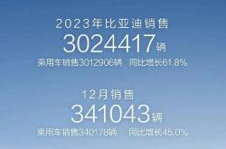 新能源销量排名2024