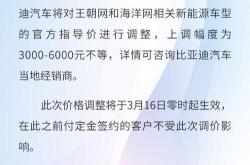 玛奇朵纯电续航