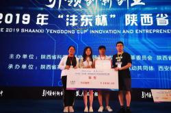 高振电子科技公司概述