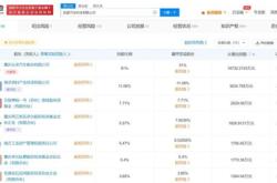 长安新能源预售