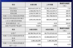木林森股票属于什么概念