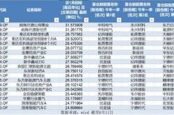 中电投新能源股份有限公司