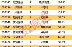 探索次新能源概念股的龙头企业
