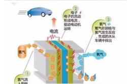 1.碳的排放和环境影响