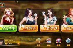 龙银网络科技有限公司