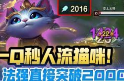 赏金术士套路视频