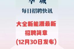 新疆石河子大全新能源累吗