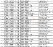 金康新能源现状