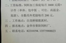 国企蜂巢新能源招工解析