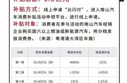 岚山新能源车辆补贴政策解析与建议