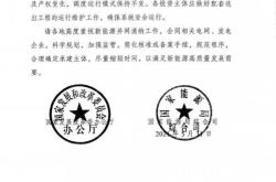 新能源行业的财务特点