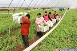 农业科技开发有限公司简介怎么写