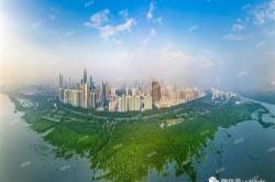 杭州绿湾科技公司综述