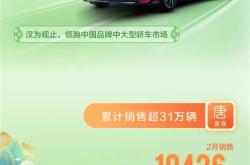 大众跟比亚迪