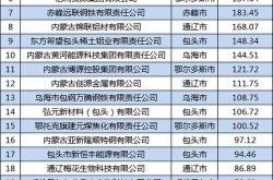 内蒙古新能源公司有哪些