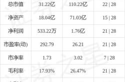 龙源科技股票分析与投资建议