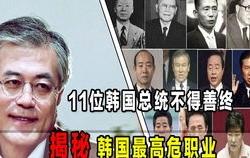 罗麦科技有什么产品