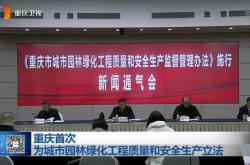 东莞新能源科技有限公司和宁德新能源
