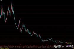 金丹科技高管
