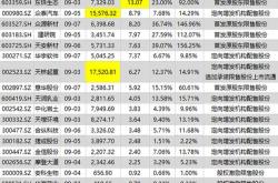 蓝思科技体重要求