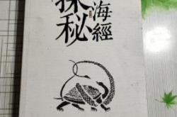 探索芦鸣科技游戏世界