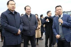 深科技新闻