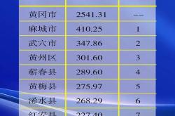 黄梅新开镇规划