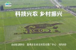 现代农业技术应用