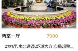 新房科技软件:实现智能化、便利化、安全化的住宅生活