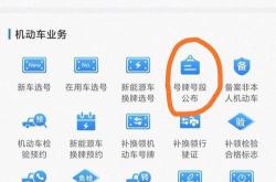 在哪查新能源指标的排号顺序