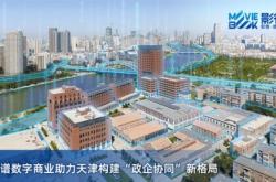 天津丰盈科技集团有限公司