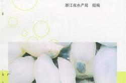 浙江强脑科技