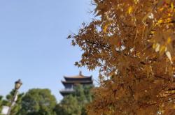 江西科技学院学校官网