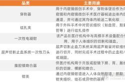 逸思医疗器械有限公司