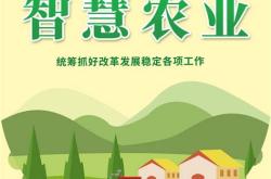农业学大赛精神