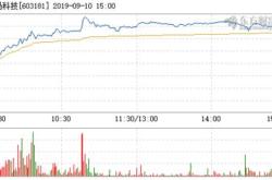 皇马科技利润