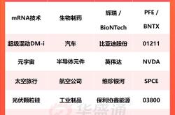 美股科技股全线大涨