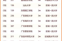 南方科技大学是什么级别
