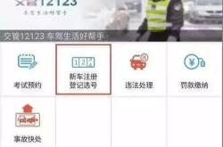 新能源靓号有投资价值吗