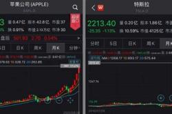 低位科技龙头股