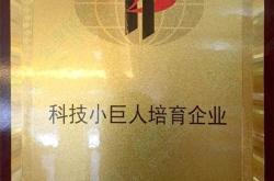 科技小型企业补助
