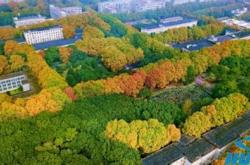 华中科技大学女生咖啡