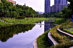 十堰茅箭区新能源车发展现状与前景