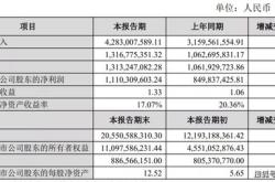 宁德市新能源事件