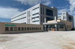象屿集团公司简介