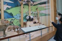 探索四川科技馆：熊猫主题展