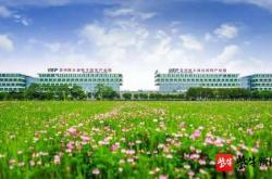 产业规划