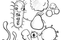 济南凡香化工有限公司